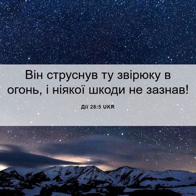 Picture 06 - Дії 28:5 UKR - Він струснув ту звірюку в - Bible Verse Picture