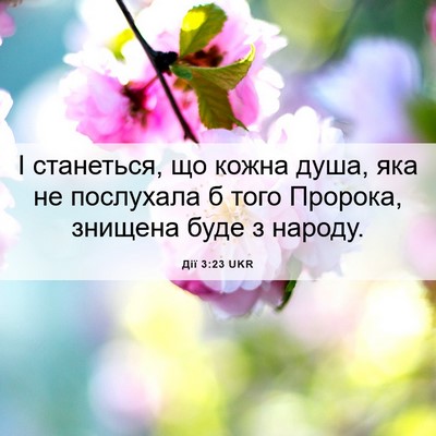 Picture 06 - Дії 3:23 UKR - І станеться, що кожна душа, - Bible Verse Picture