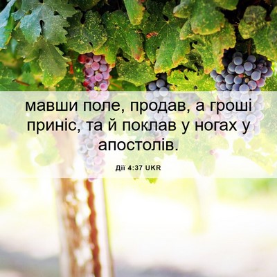 Picture 06 - Дії 4:37 UKR - мавши поле, продав, а гроші - Bible Verse Picture