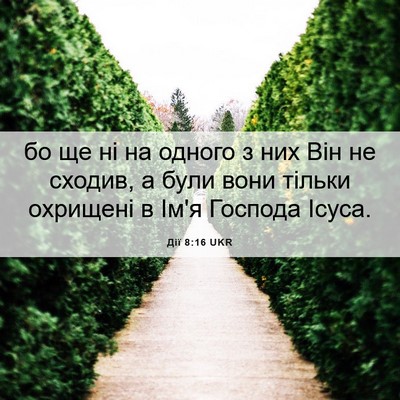 Picture 06 - Дії 8:16 UKR - бо ще ні на одного з них Він - Bible Verse Picture