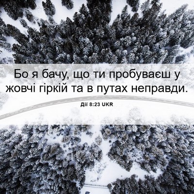 Picture 06 - Дії 8:23 UKR - Бо я бачу, що ти пробуваєш у - Bible Verse Picture