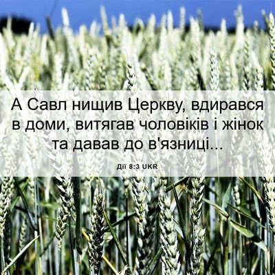 Picture 06 - Дії 8:3 UKR - А Савл нищив Церкву, - Bible Verse Picture