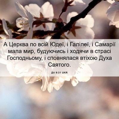 Picture 06 - Дії 9:31 UKR - А Церква по всій Юдеї, і - Bible Verse Picture