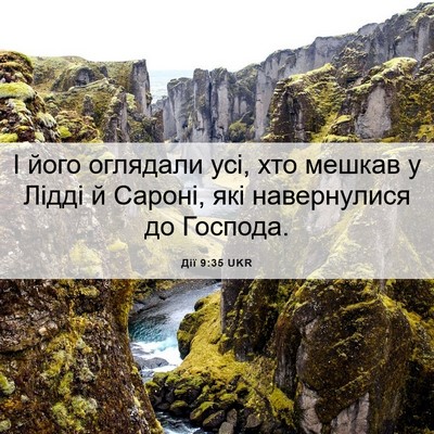 Picture 06 - Дії 9:35 UKR - І його оглядали усі, хто - Bible Verse Picture