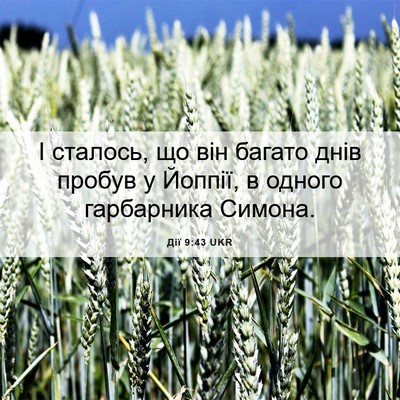 Picture 06 - Дії 9:43 UKR - І сталось, що він багато - Bible Verse Picture