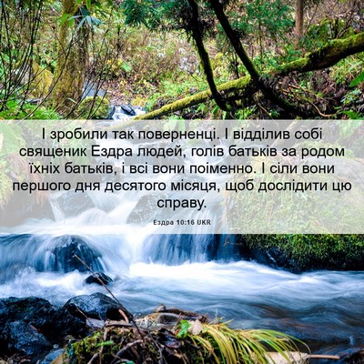 Picture 06 - Ездра 10:16 UKR - І зробили так поверненці. І - Bible Verse Picture