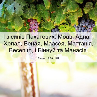 Picture 06 - Ездра 10:30 UKR - І з синів Пахатових: Моав, - Bible Verse Picture
