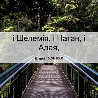Picture 06 - Ездра 10:39 UKR - і Шелемія, і Натан, і - Bible Verse Picture