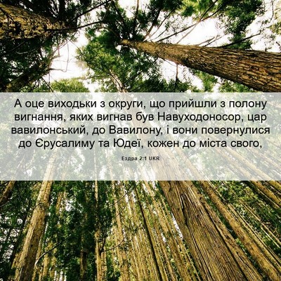 Picture 06 - Ездра 2:1 UKR - А оце виходьки з округи, що - Bible Verse Picture