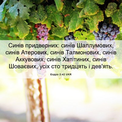 Picture 06 - Ездра 2:42 UKR - Синів придверних: синів - Bible Verse Picture