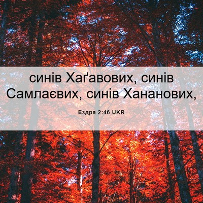 Picture 06 - Ездра 2:46 UKR - синів Хаґавових, синів - Bible Verse Picture