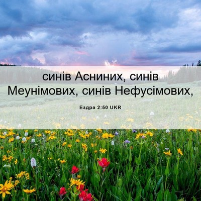 Picture 06 - Ездра 2:50 UKR - синів Асниних, синів - Bible Verse Picture