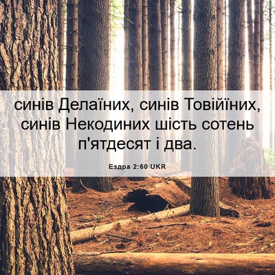 Picture 06 - Ездра 2:60 UKR - синів Делаїних, синів - Bible Verse Picture
