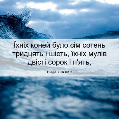 Picture 06 - Ездра 2:66 UKR - Їхніх коней було сім - Bible Verse Picture