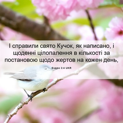 Picture 06 - Ездра 3:4 UKR - І справили свято Кучок, як - Bible Verse Picture