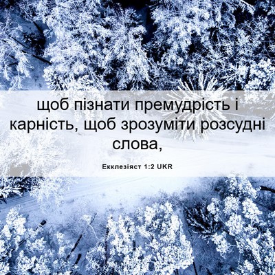 Picture 06 - Екклезіяст 1:2 UKR - щоб пізнати премудрість і - Bible Verse Picture