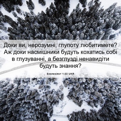 Picture 06 - Екклезіяст 1:22 UKR - Доки ви, нерозумні, глупоту - Bible Verse Picture