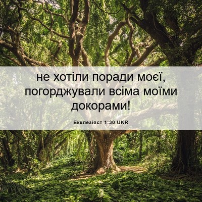 Picture 06 - Екклезіяст 1:30 UKR - не хотіли поради моєї, - Bible Verse Picture