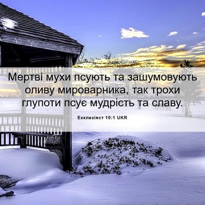 Picture 06 - Екклезіяст 10:1 UKR - Мертві мухи псують та - Bible Verse Picture