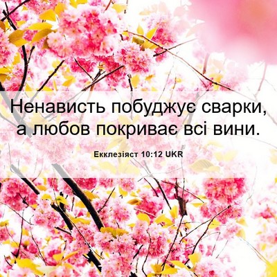 Picture 06 - Екклезіяст 10:12 UKR - Ненависть побуджує сварки, - Bible Verse Picture
