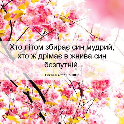 Picture 06 - Екклезіяст 10:5 UKR - Хто літом збирає син - Bible Verse Picture