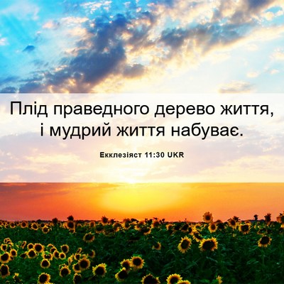 Picture 06 - Екклезіяст 11:30 UKR - Плід праведного дерево - Bible Verse Picture