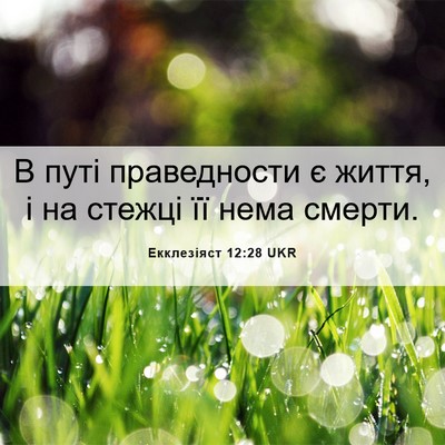 Picture 06 - Екклезіяст 12:28 UKR - В путі праведности є життя, - Bible Verse Picture