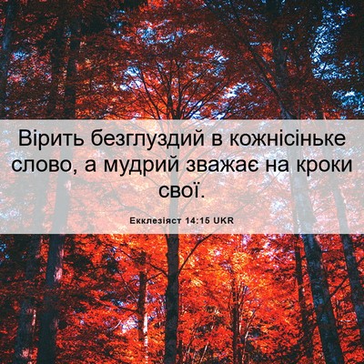 Picture 06 - Екклезіяст 14:15 UKR - Вірить безглуздий в - Bible Verse Picture