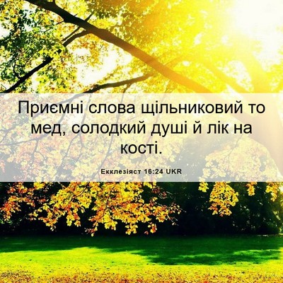 Picture 06 - Екклезіяст 16:24 UKR - Приємні слова щільниковий - Bible Verse Picture