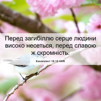 Picture 06 - Екклезіяст 18:12 UKR - Перед загибіллю серце - Bible Verse Picture