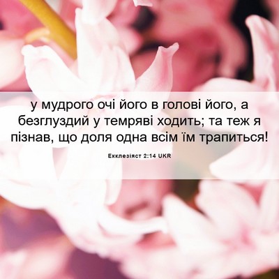 Picture 06 - Екклезіяст 2:14 UKR - у мудрого очі його в голові - Bible Verse Picture