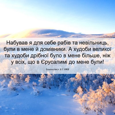 Picture 06 - Екклезіяст 2:7 UKR - Набував я для себе рабів та - Bible Verse Picture