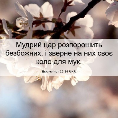 Picture 06 - Екклезіяст 20:26 UKR - Мудрий цар розпорошить - Bible Verse Picture