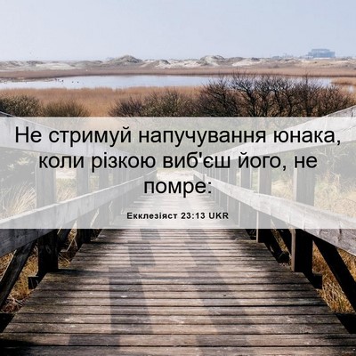 Picture 06 - Екклезіяст 23:13 UKR - Не стримуй напучування - Bible Verse Picture