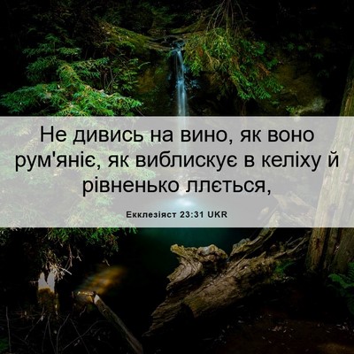 Picture 06 - Екклезіяст 23:31 UKR - Не дивись на вино, як воно - Bible Verse Picture