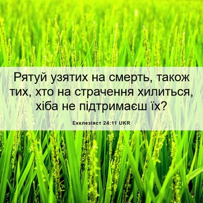 Picture 06 - Екклезіяст 24:11 UKR - Рятуй узятих на смерть, - Bible Verse Picture