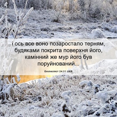 Picture 06 - Екклезіяст 24:31 UKR - і ось все воно позаростало - Bible Verse Picture