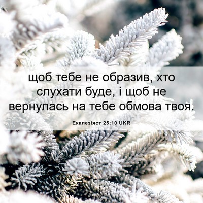 Picture 06 - Екклезіяст 25:10 UKR - щоб тебе не образив, хто - Bible Verse Picture