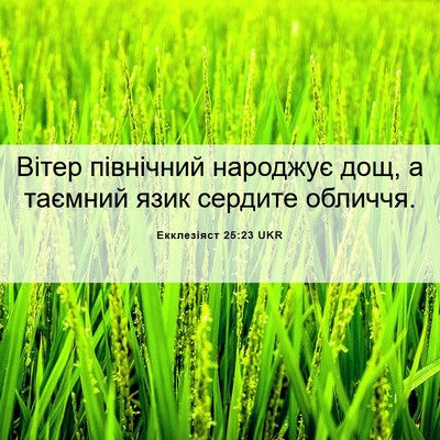 Picture 06 - Екклезіяст 25:23 UKR - Вітер північний народжує - Bible Verse Picture