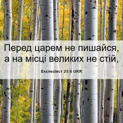 Picture 06 - Екклезіяст 25:6 UKR - Перед царем не пишайся, а - Bible Verse Picture