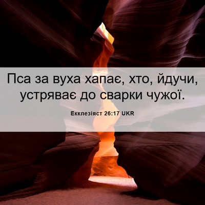 Picture 06 - Екклезіяст 26:17 UKR - Пса за вуха хапає, хто, - Bible Verse Picture