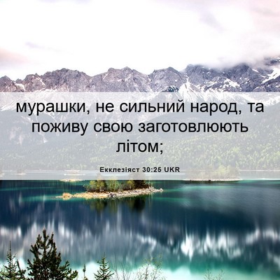 Picture 06 - Екклезіяст 30:25 UKR - мурашки, не сильний народ, - Bible Verse Picture
