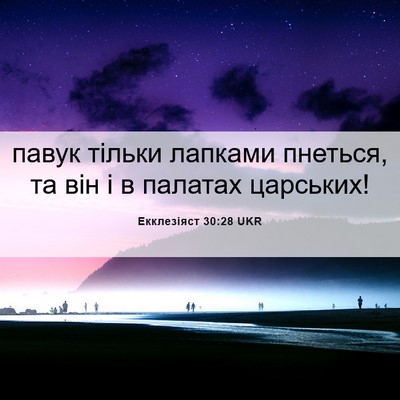 Picture 06 - Екклезіяст 30:28 UKR - павук тільки лапками - Bible Verse Picture