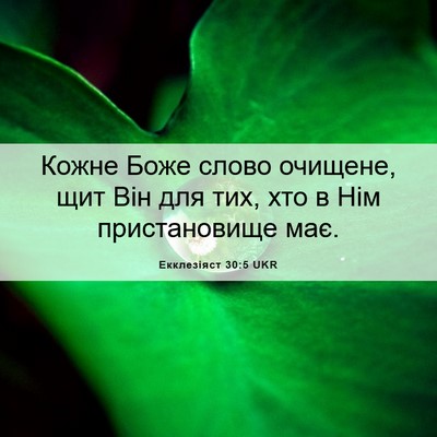 Picture 06 - Екклезіяст 30:5 UKR - Кожне Боже слово очищене, - Bible Verse Picture