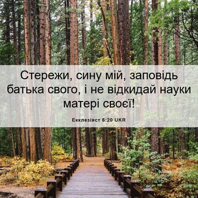 Picture 06 - Екклезіяст 6:20 UKR - Стережи, сину мій, заповідь - Bible Verse Picture