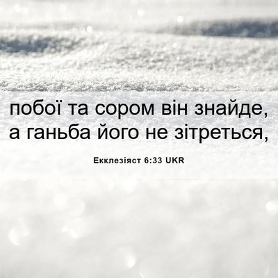 Picture 06 - Екклезіяст 6:33 UKR - побої та сором він знайде, - Bible Verse Picture