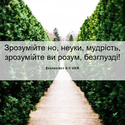 Picture 06 - Екклезіяст 8:5 UKR - Зрозумійте но, неуки, - Bible Verse Picture