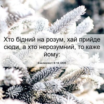 Picture 06 - Екклезіяст 9:16 UKR - Хто бідний на розум, хай - Bible Verse Picture