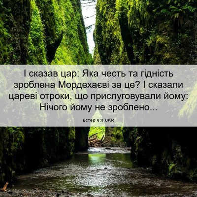 Picture 06 - Естер 6:3 UKR - І сказав цар: Яка честь та - Bible Verse Picture