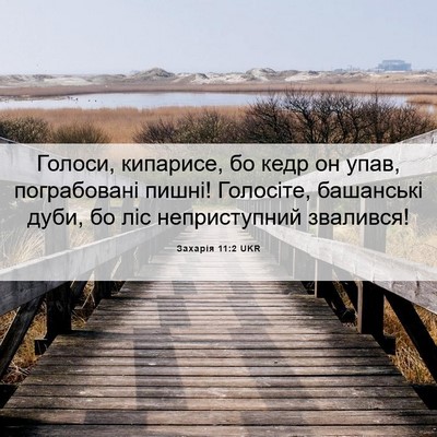 Picture 06 - Захарія 11:2 UKR - Голоси, кипарисе, бо кедр - Bible Verse Picture